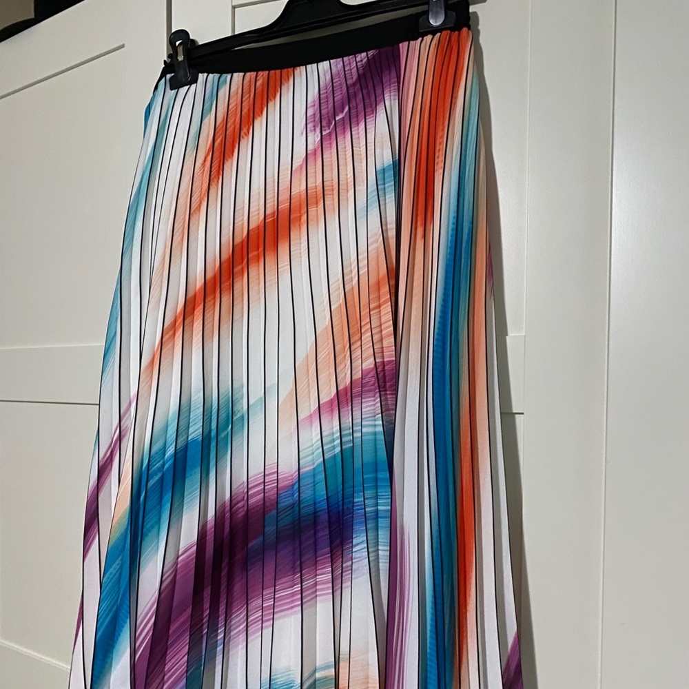 Multi colored pleated skirt (Anthropologie)